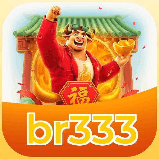 br333 logo